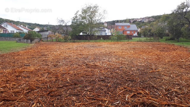 Terrain à DOMGERMAIN