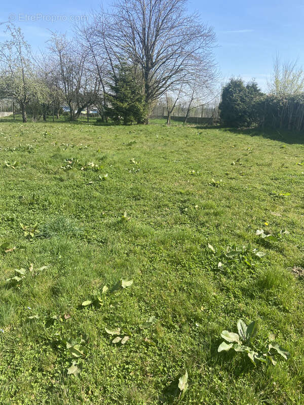 Terrain à VILLERS-CHATEL