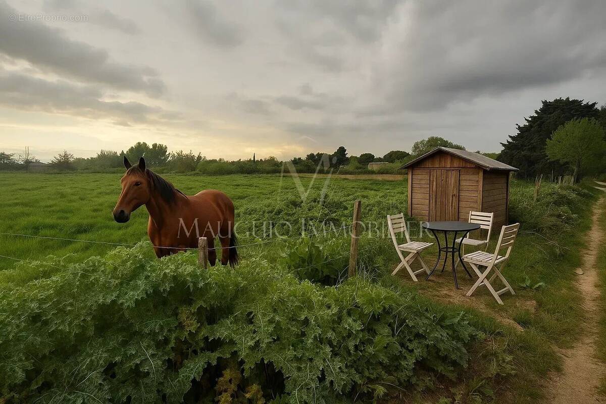 Terrain à LANSARGUES