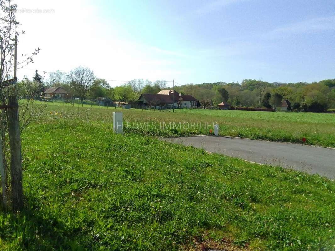 Terrain à NAVARRENX