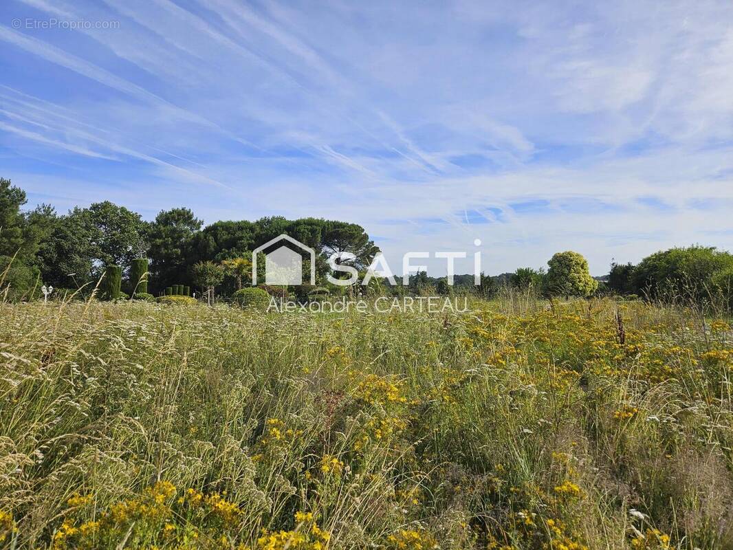 Photo 1 - Terrain à CAMBLANES-ET-MEYNAC