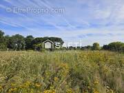 Photo 1 - Terrain à CAMBLANES-ET-MEYNAC