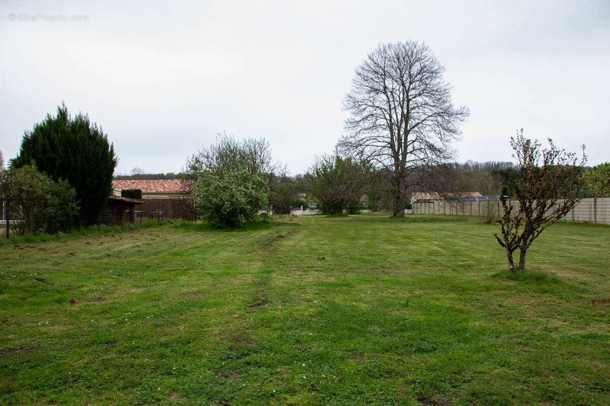 Terrain à LAMOTHE-MONTRAVEL