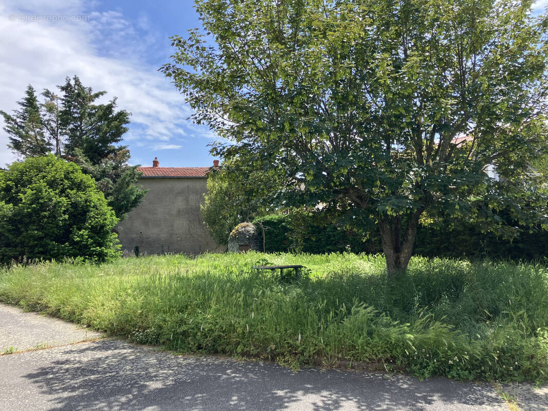 Terrain à SAINTE-CONSORCE