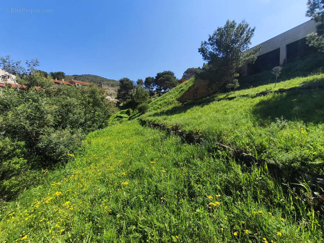 Terrain à PORT-VENDRES
