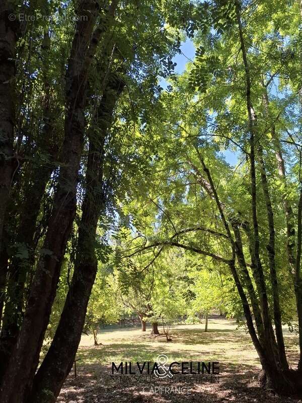 Maison à CARCASSONNE