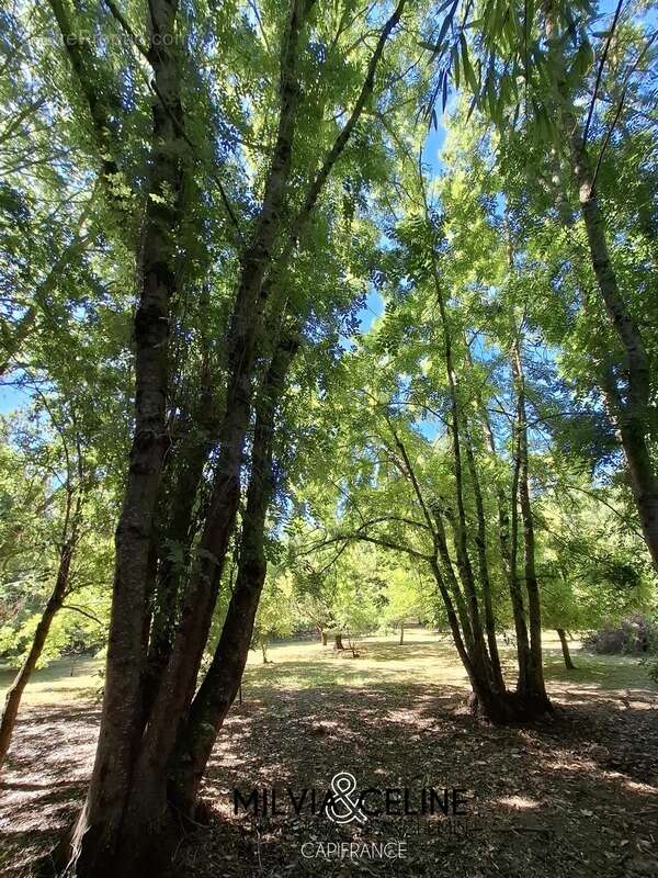 Maison à CARCASSONNE