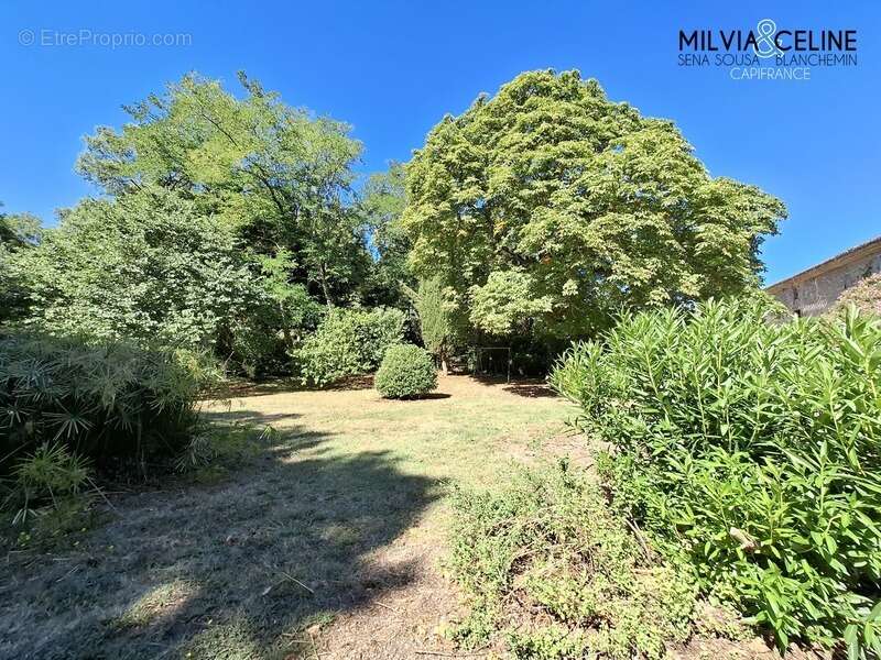 Maison à CARCASSONNE