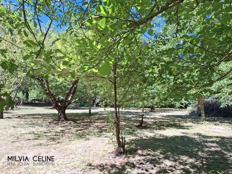 Maison à CARCASSONNE