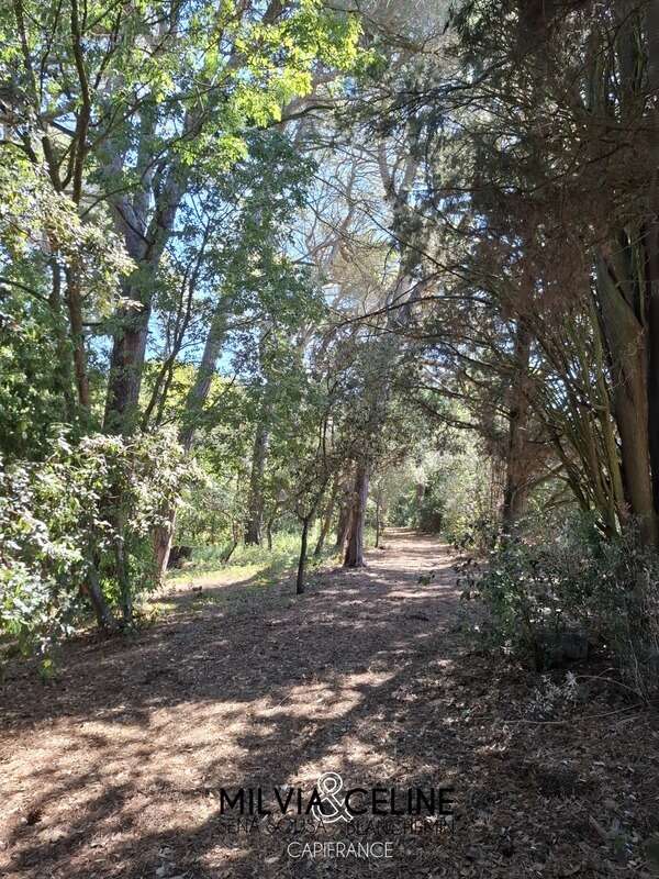 Maison à CARCASSONNE