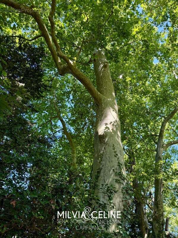 Maison à CARCASSONNE