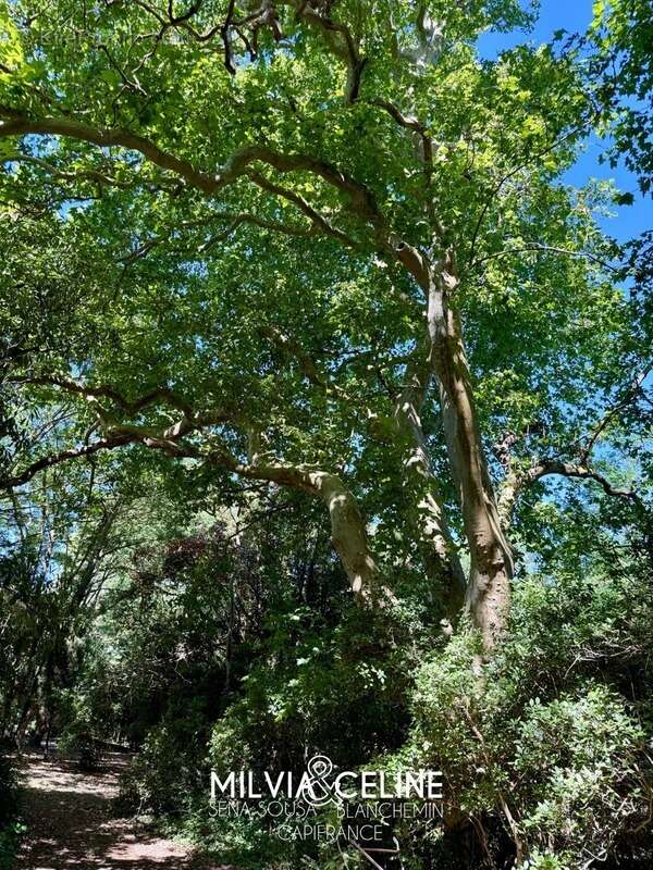 Maison à CARCASSONNE