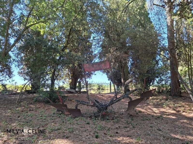 Maison à CARCASSONNE