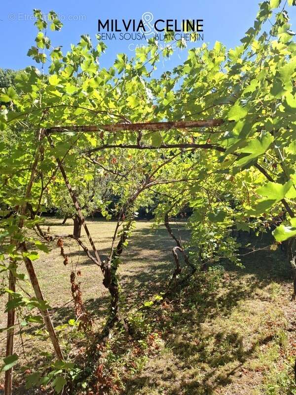 Maison à CARCASSONNE