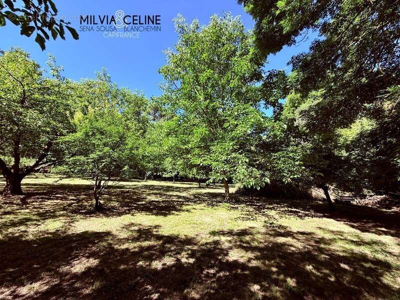 Maison à CARCASSONNE