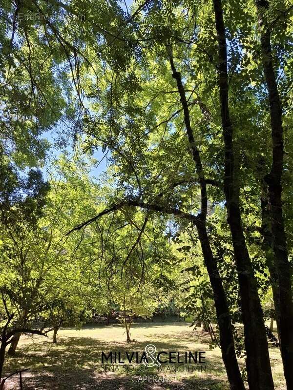 Maison à CARCASSONNE