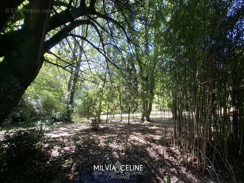 Maison à CARCASSONNE