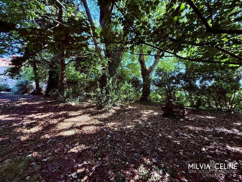 Maison à CARCASSONNE
