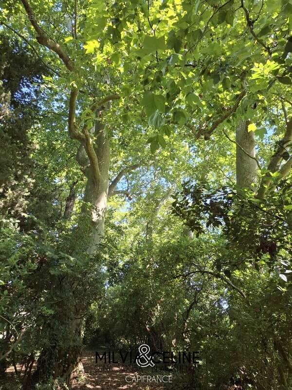 Maison à CARCASSONNE