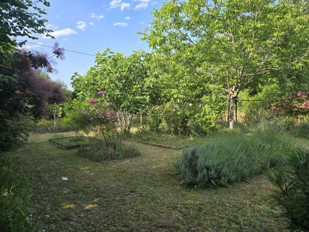 Maison à SAINTE-ALVERE
