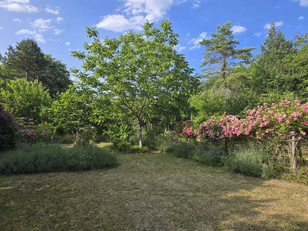 Maison à SAINTE-ALVERE