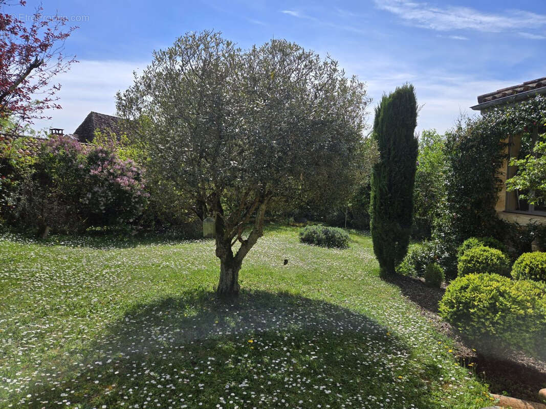 Maison à SAINTE-ALVERE