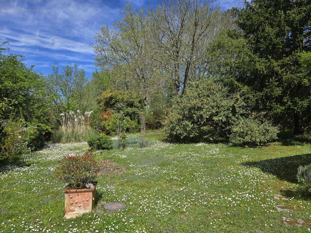 Maison à SAINTE-ALVERE