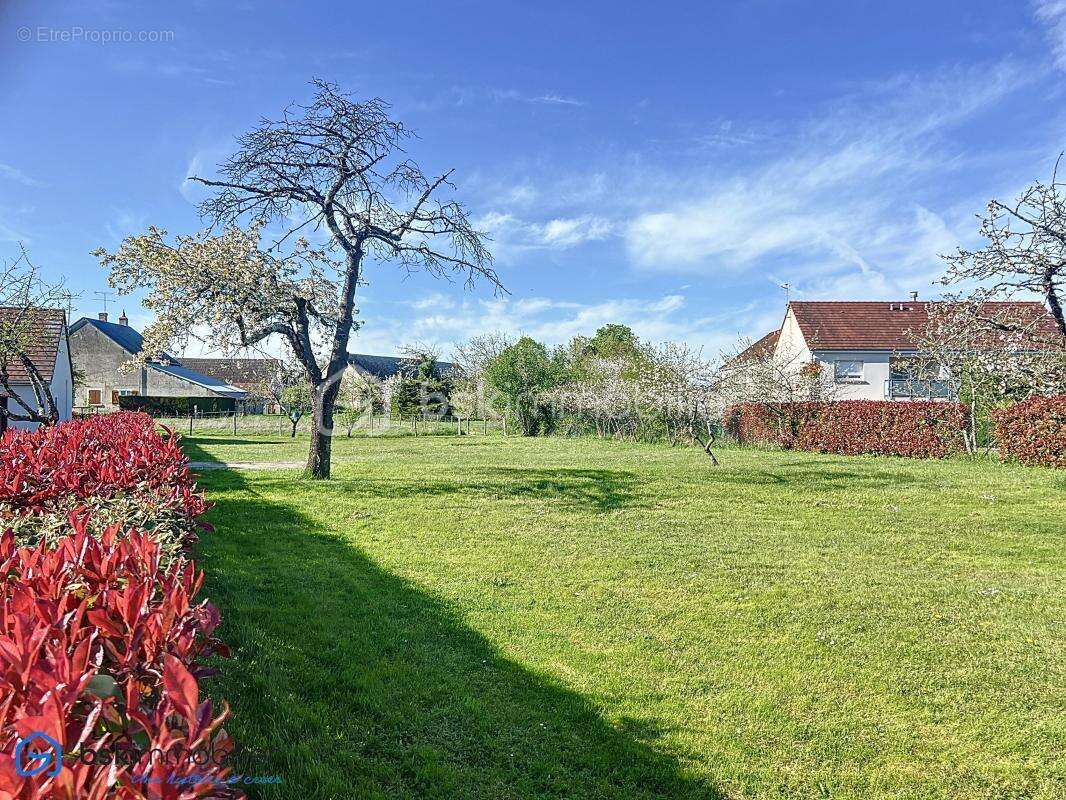 Terrain à LE POINCONNET