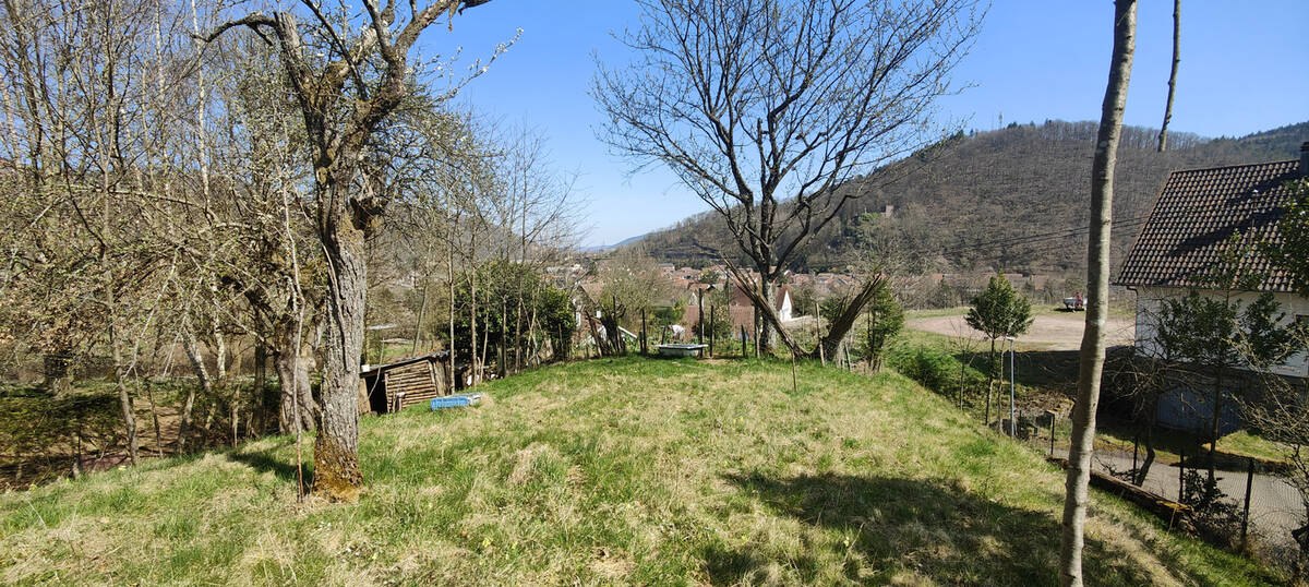 Terrain à LA BROQUE