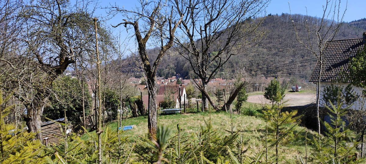 Terrain à LA BROQUE