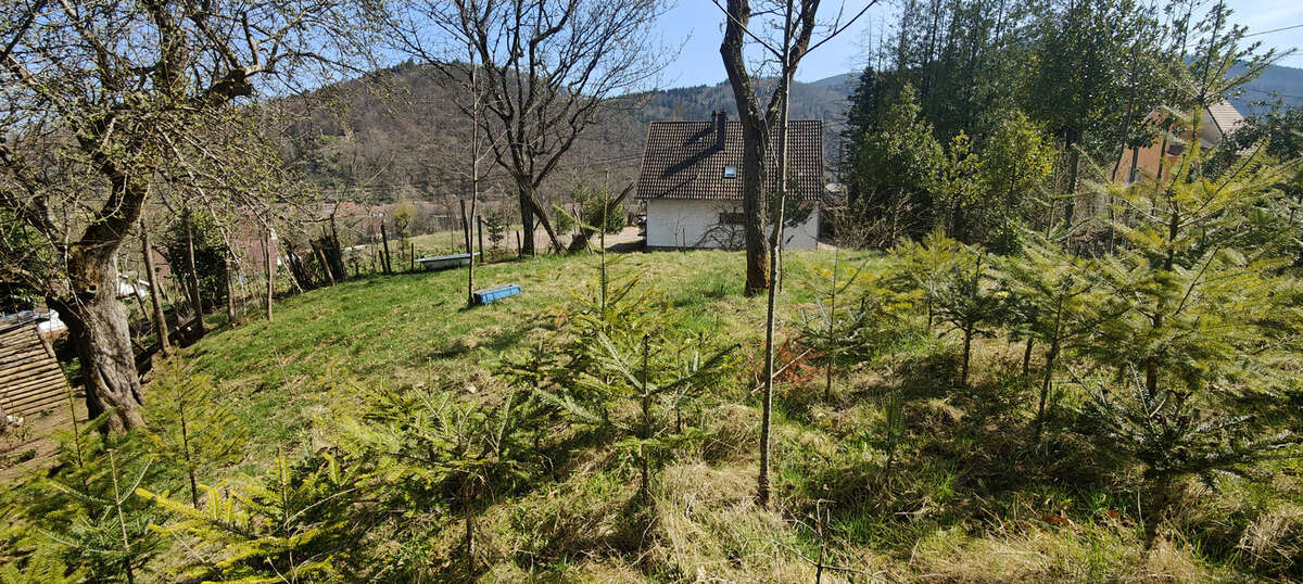 Terrain à LA BROQUE