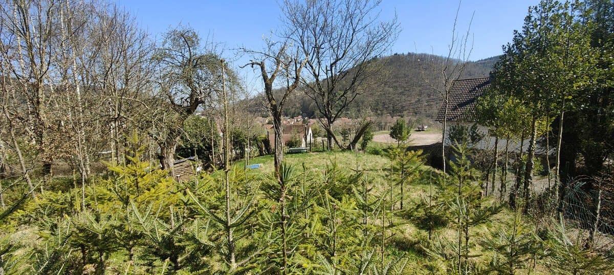 Terrain à LA BROQUE