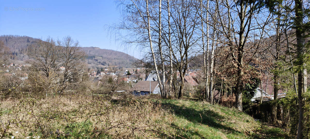 Terrain à LA BROQUE