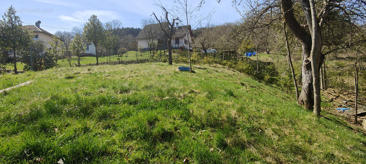 Terrain à LA BROQUE