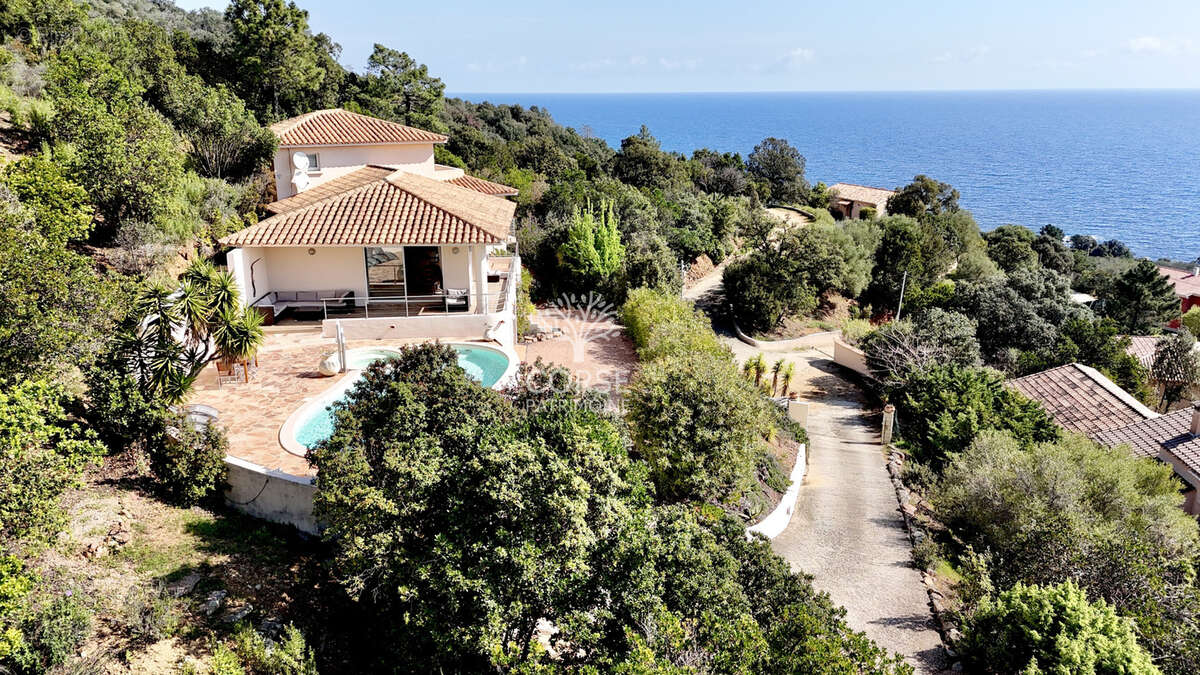 Maison à SARI-SOLENZARA