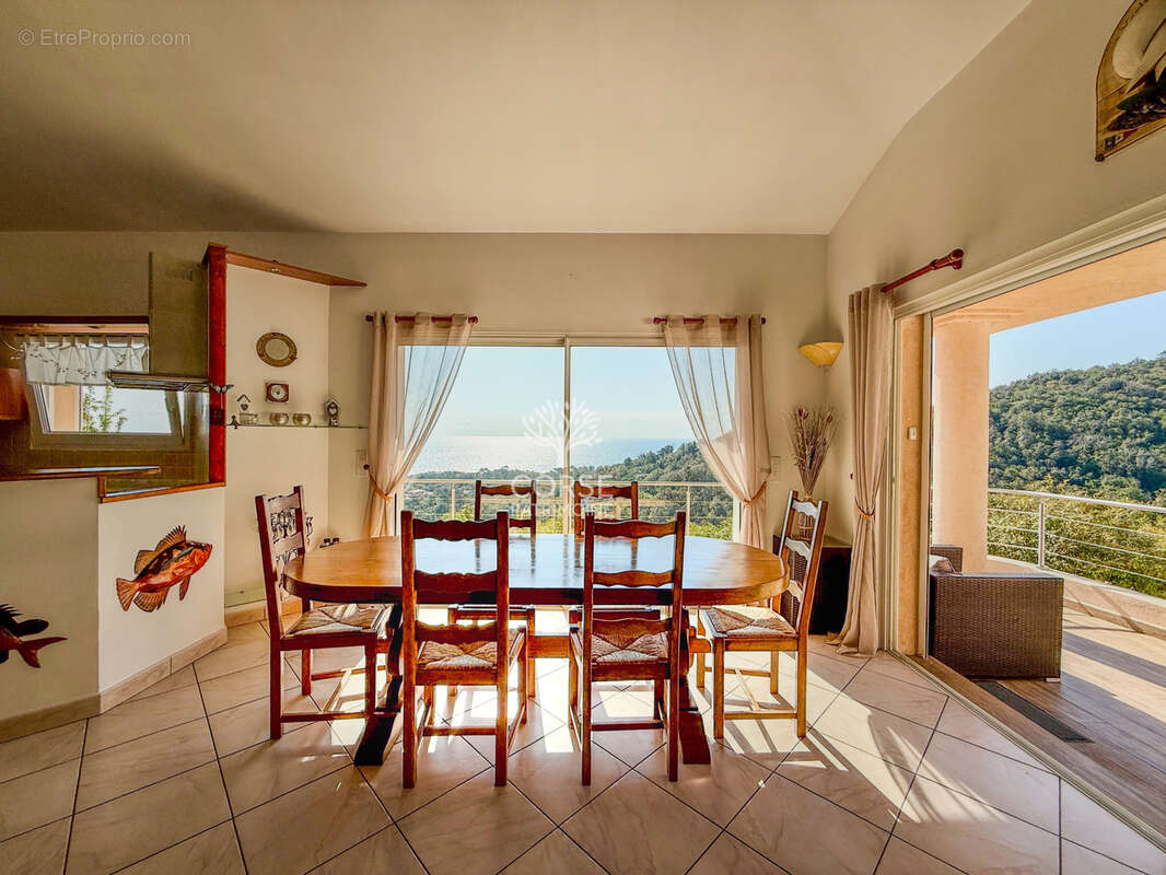 Maison à SARI-SOLENZARA