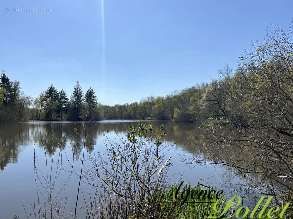 Terrain à POILLY-LEZ-GIEN