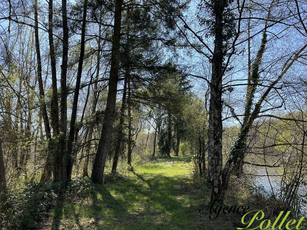 Terrain à POILLY-LEZ-GIEN