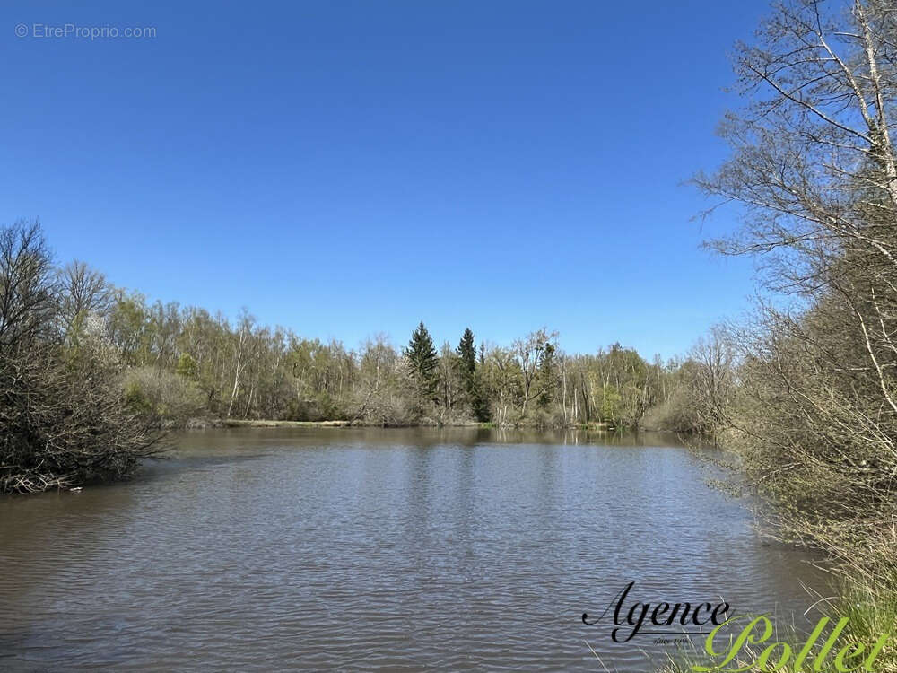 Terrain à POILLY-LEZ-GIEN