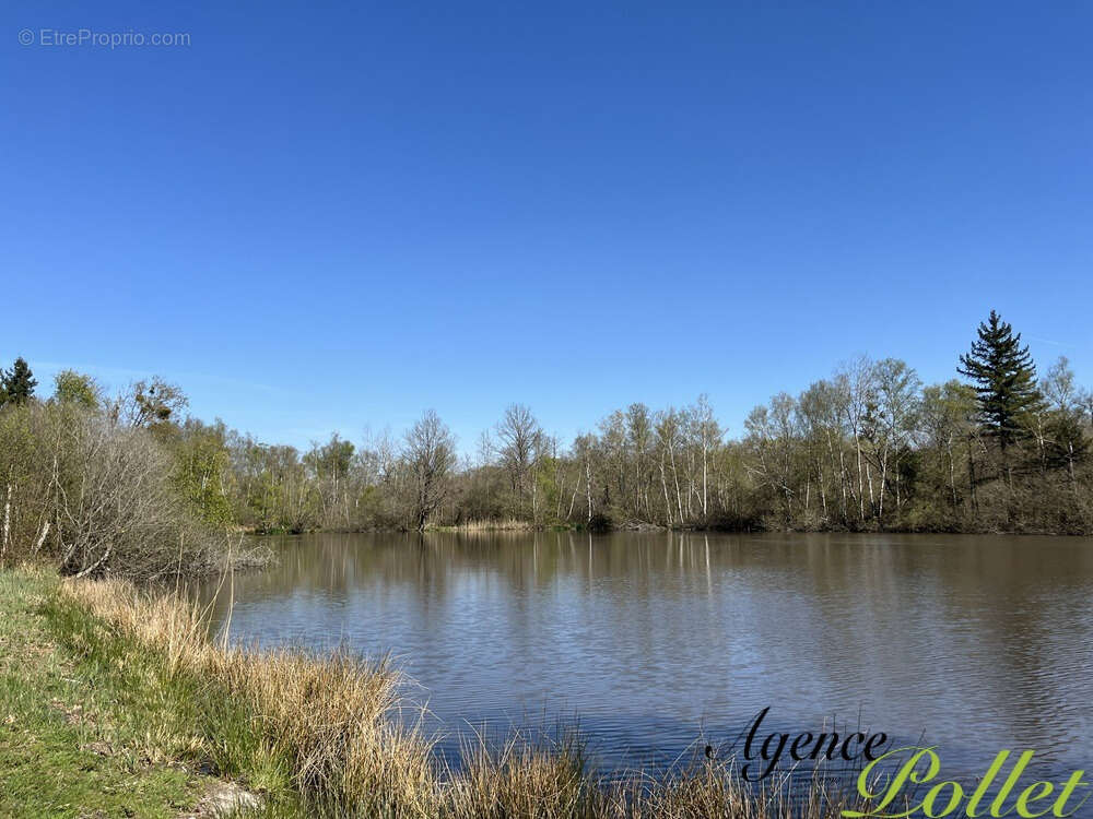 Terrain à POILLY-LEZ-GIEN