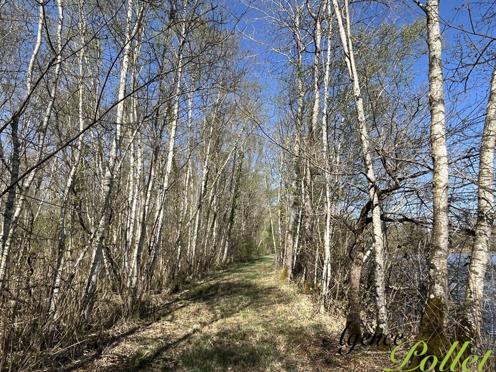Terrain à POILLY-LEZ-GIEN