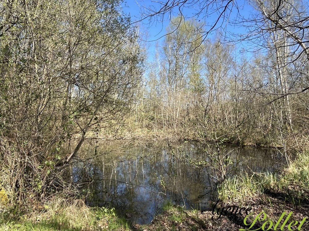 Terrain à POILLY-LEZ-GIEN