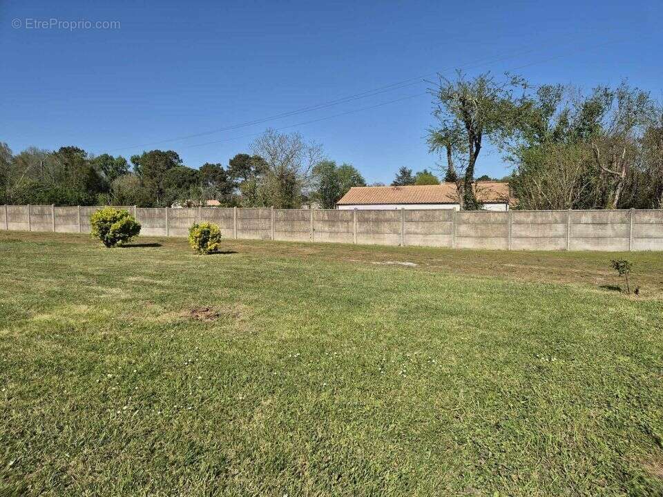 Saint Sauveur- terrain 600m²- constructible- Calme- proximité - Terrain à SAINT-SAUVEUR