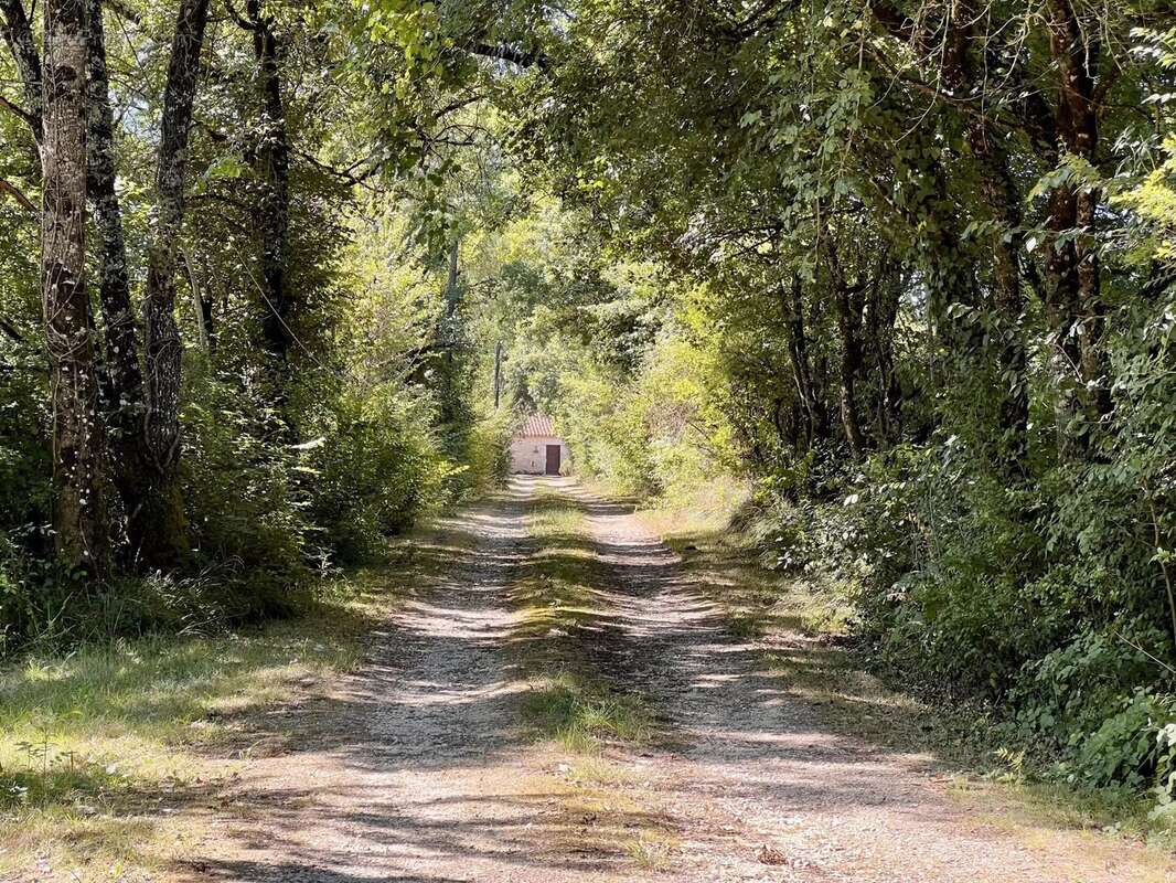 Maison à MONFLANQUIN