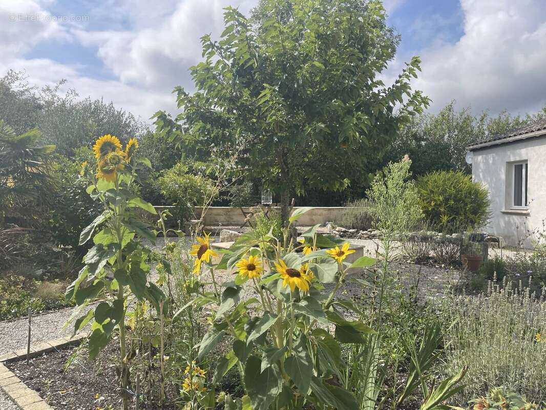 Maison à MONFLANQUIN