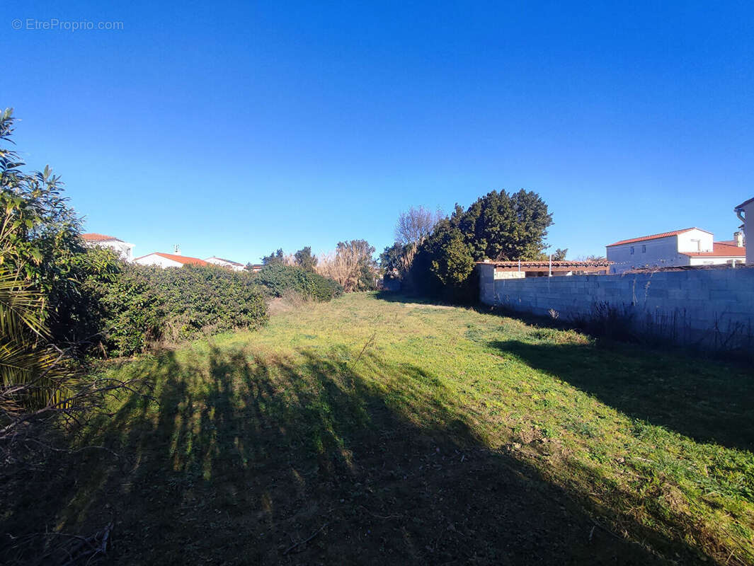 Terrain à PEZILLA-LA-RIVIERE