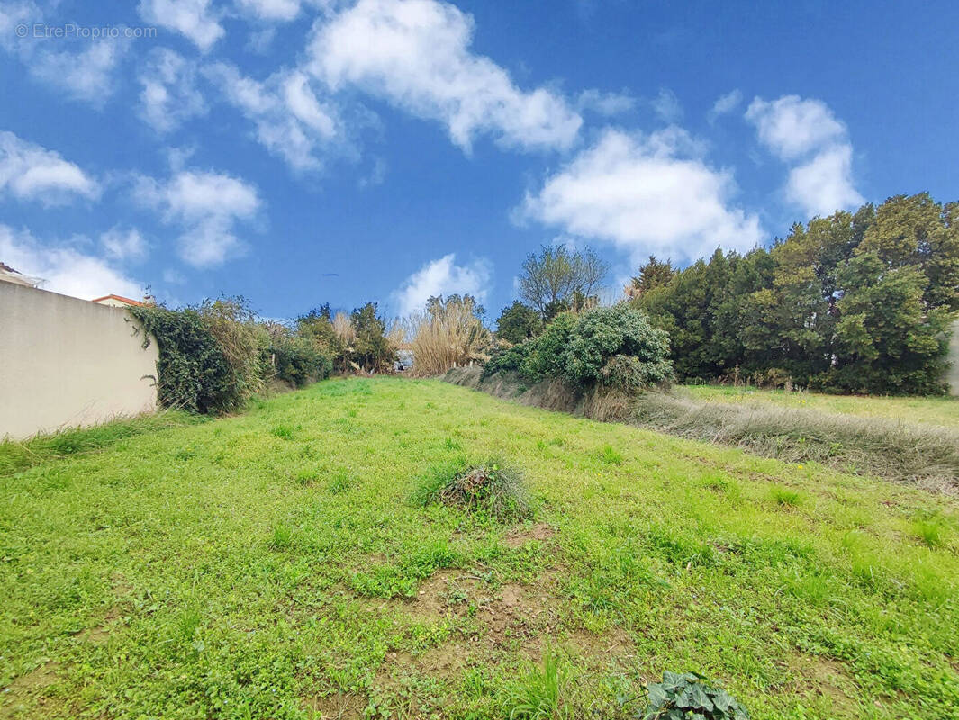 Terrain à PEZILLA-LA-RIVIERE