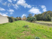 Terrain à PEZILLA-LA-RIVIERE