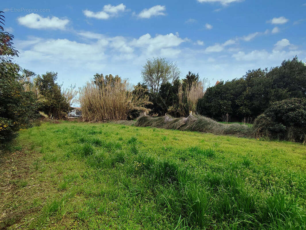 Terrain à PEZILLA-LA-RIVIERE