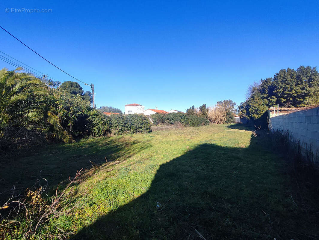 Terrain à PEZILLA-LA-RIVIERE